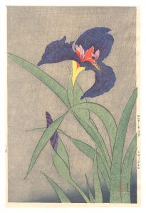 花菖蒲（仮題）　／　三井淳生