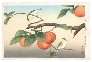 Persimon and Japanese White Eye / Ide Gakusui