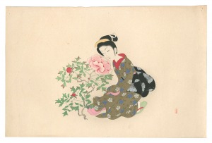 Peony / Komura Settai