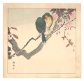 Birds and Flower