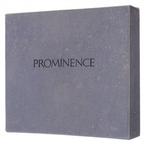 銅版画集 PROMINENCE／プロミネンス