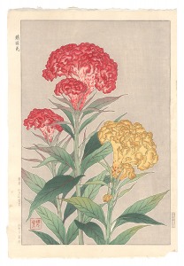 鶏冠花　／　河原崎奨堂