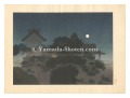 Night Scene at Yushima