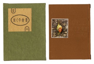 Kanpon / No. 35: The World Nearby / Takei Takeo