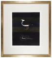 Venus comb and plover