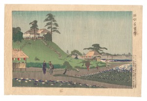 The Iris Garden at Horikiri / Kiyochika