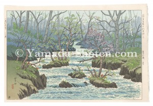 Ito Takashi / National Park Lake Towada / Oirase in Spring