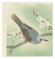 Bird and Flower