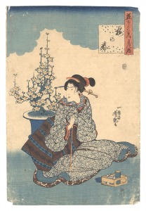 A Collection of Flowers of the Twelve Months / Plum for Spring / Yoshitsuya