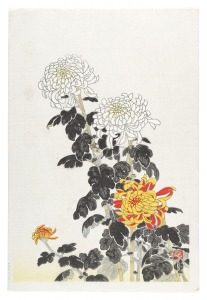 Chrysanthemums (tentative title) / Ito Nisaburo