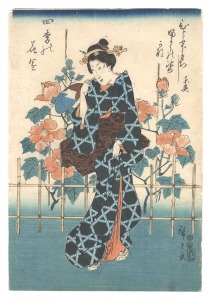 広重初代「四季の花園　芙蓉」