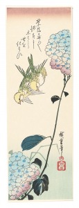 広重初代「紫陽花と鶸【復刻版】」