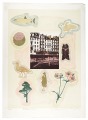 Natural History （76-2）