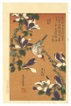 Java Sparrow on Magnolia 【Repr......