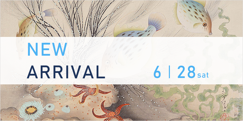 New Arrival: 6/28