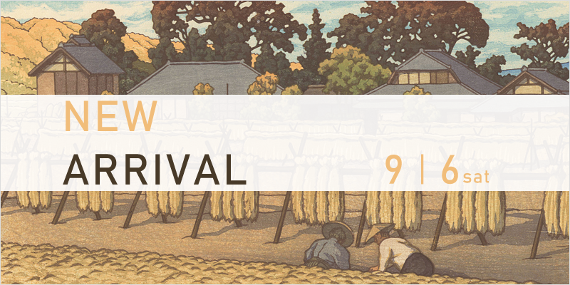 New Arrival: 9/6