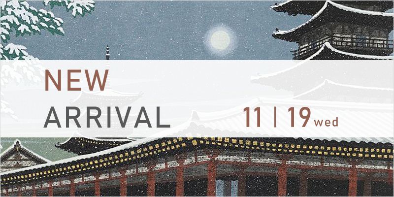 新入荷 11/19
