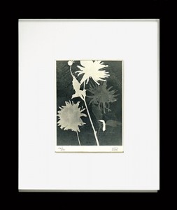 レイヨグラフ ／ マン・レイ