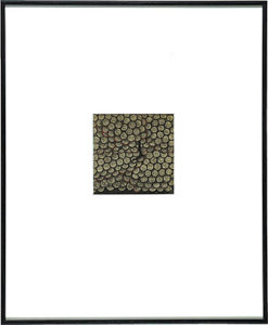 緑と紫のぶどう下絵 ／ 浜口陽三