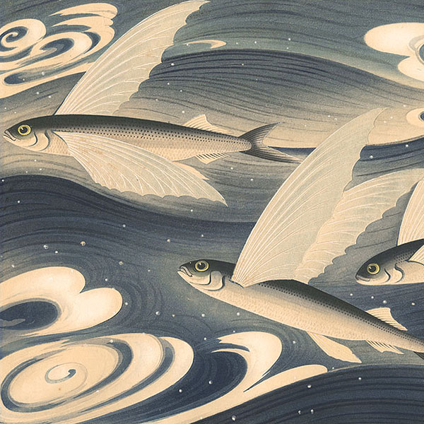 新入荷】大野麥風 水船六洲 岡鹿之助 斎藤カオル 歌川国芳 芳虎 豊国